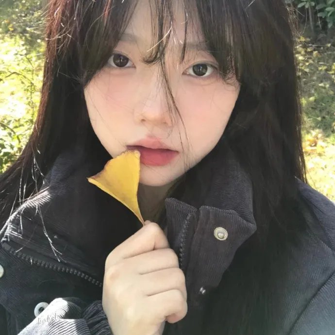 暴风眼