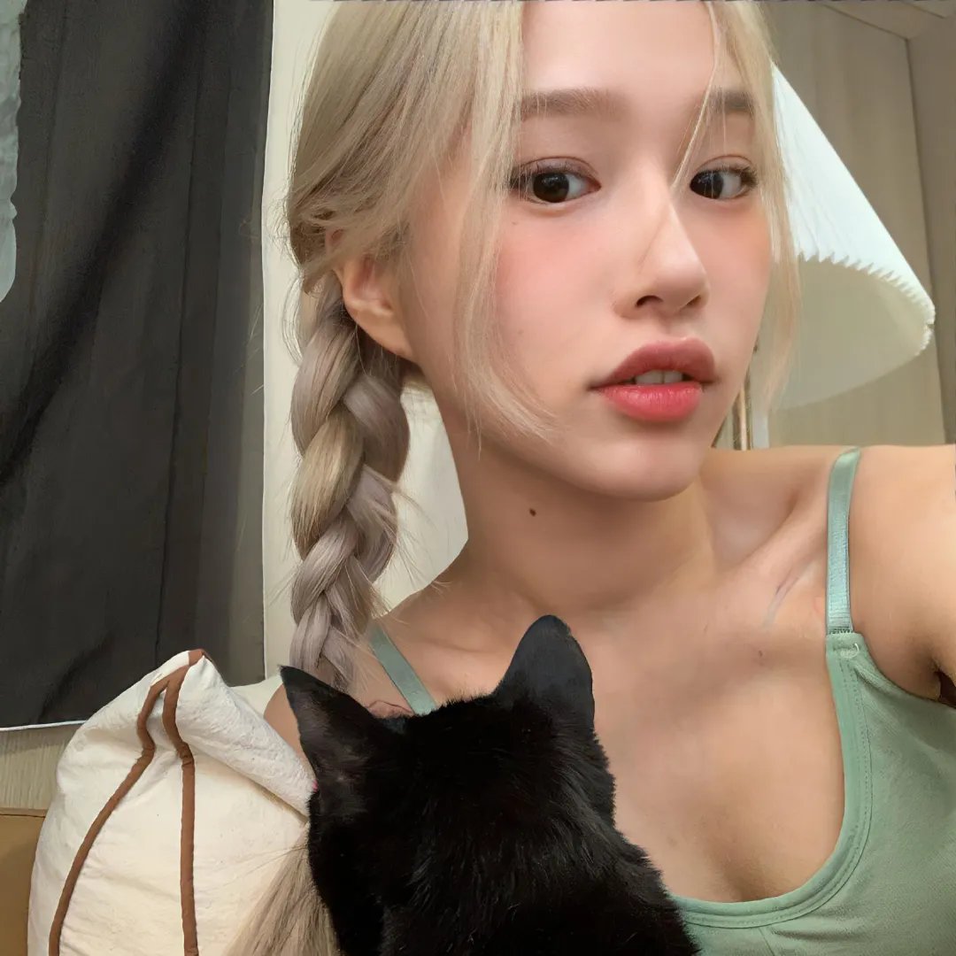 远去的飞鹰